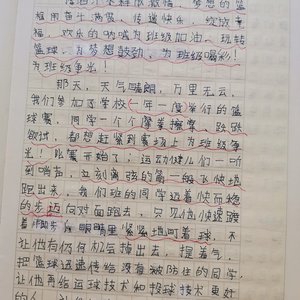 篮球训练心得体会300字作文大全怎么写