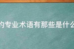篮球的专业术语有那些是什么意思